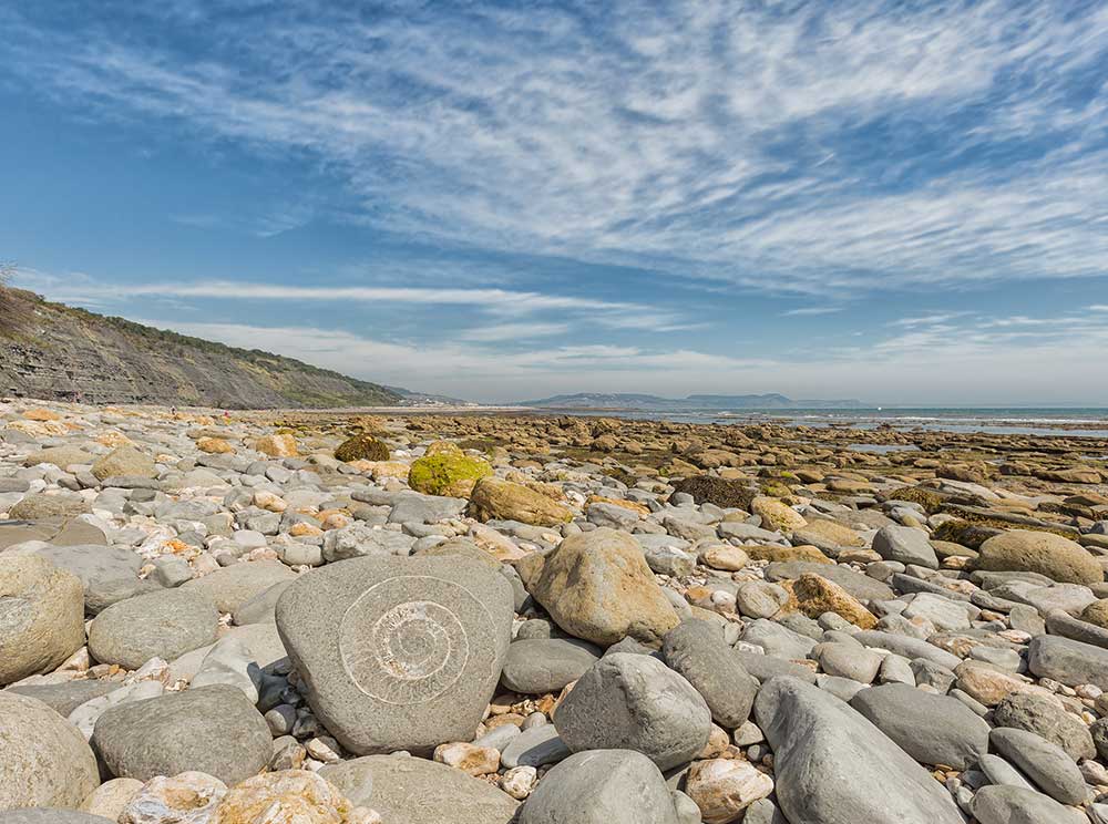 Jurassic Coast